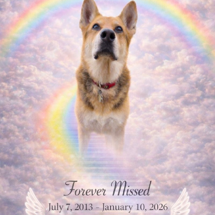 I will miss him
