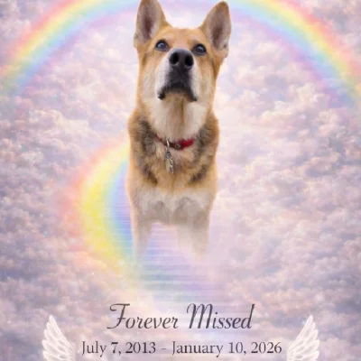 I will miss him