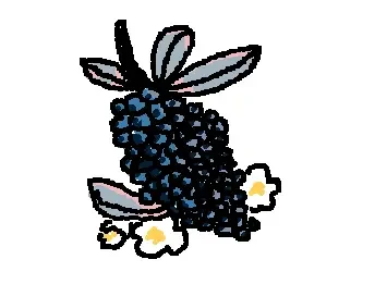 Blueberries!