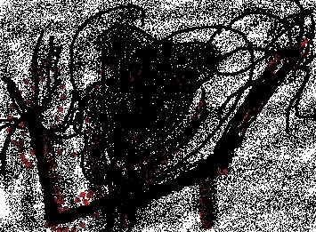 Albert