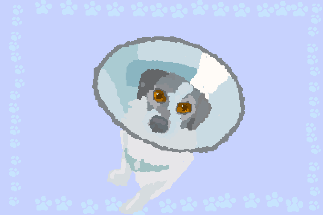 Arf