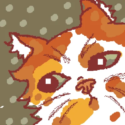my cat✨