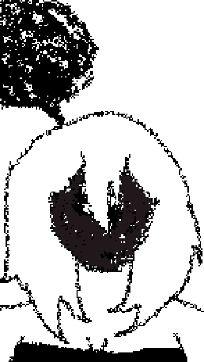 mm