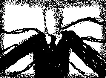 the administrator