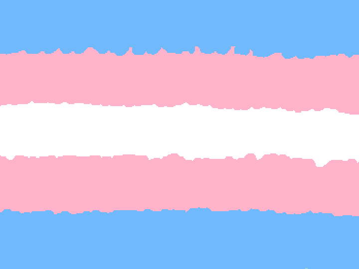 traaaaaaaans 🏳️‍⚧️