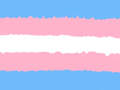 traaaaaaaans 🏳️‍⚧️