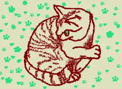 crazy cat