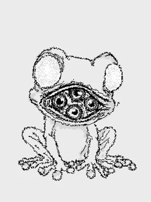 Such a cute frog :3
