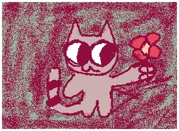 racoon tail cat