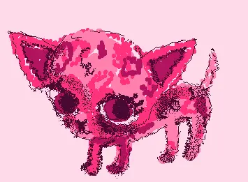 Chihuahua diva 💓