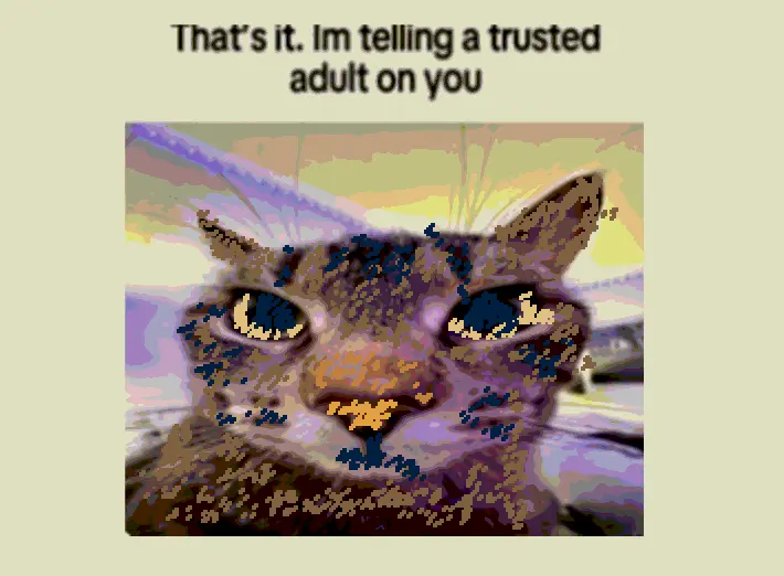 kitty