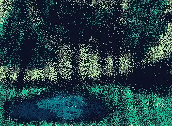 A change in the forest