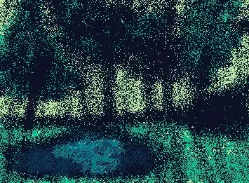A change in the forest