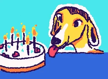 birthday