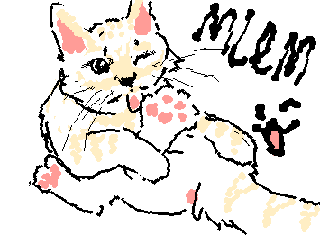 my cat