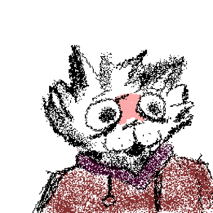 fuzy brush cat named Steve