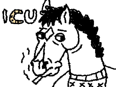 Bojack horseman