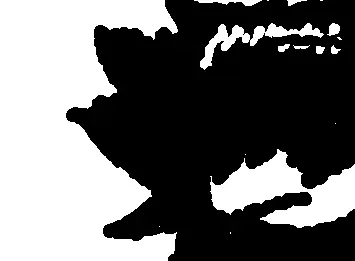 idk Random doodle I made