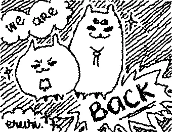 Eruri again