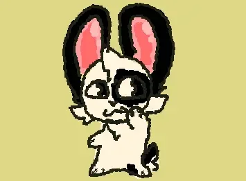 rabbit