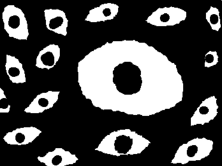 SEEK👁👀