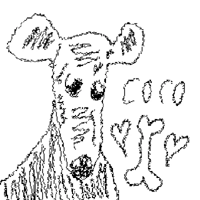 COCO
