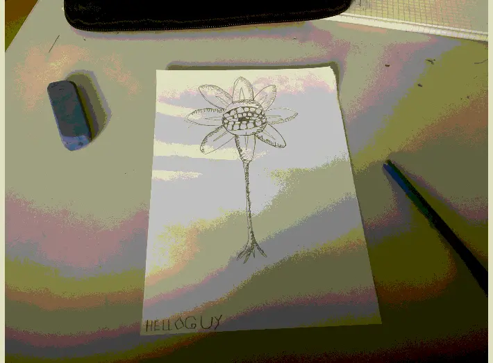 I drew this in class