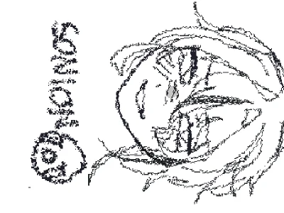 onion