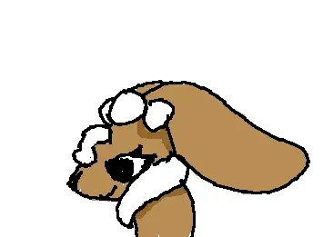 Cocoa