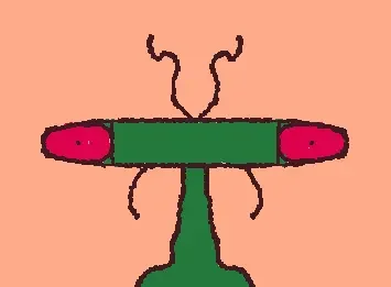 Mantis
