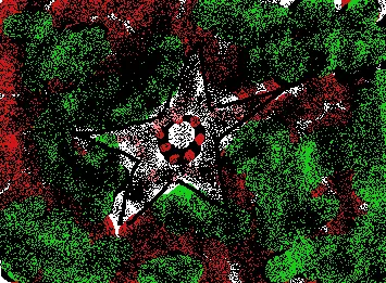 Scary star disease