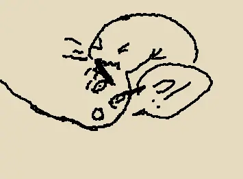 chomp