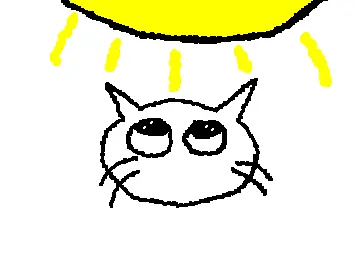 cat and the sun