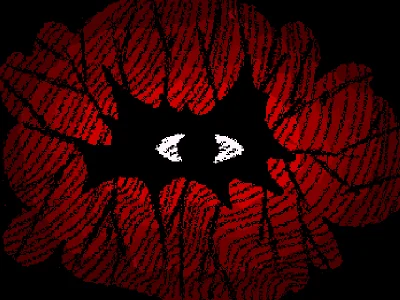 eye