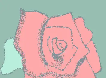 single pale of rose