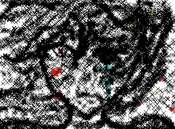 the sad murder
