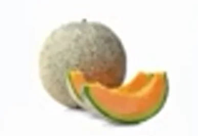 CANTALOUPE