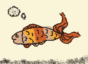 scrapy fiash