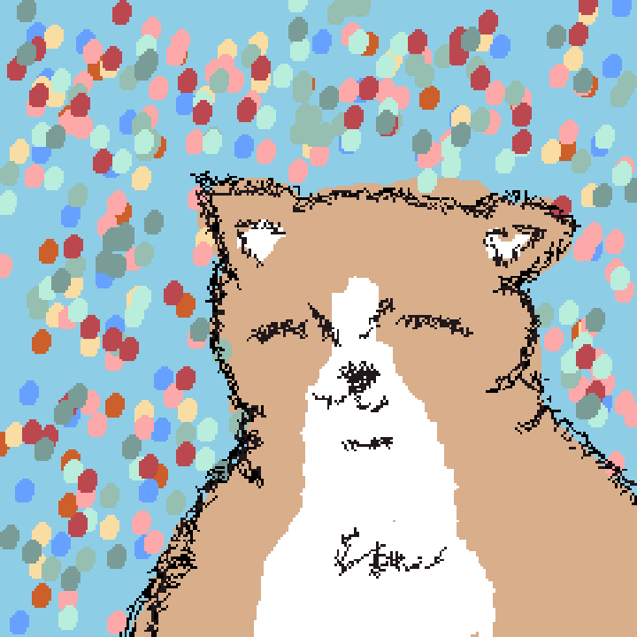 fat, pot-bellied cat cute cat