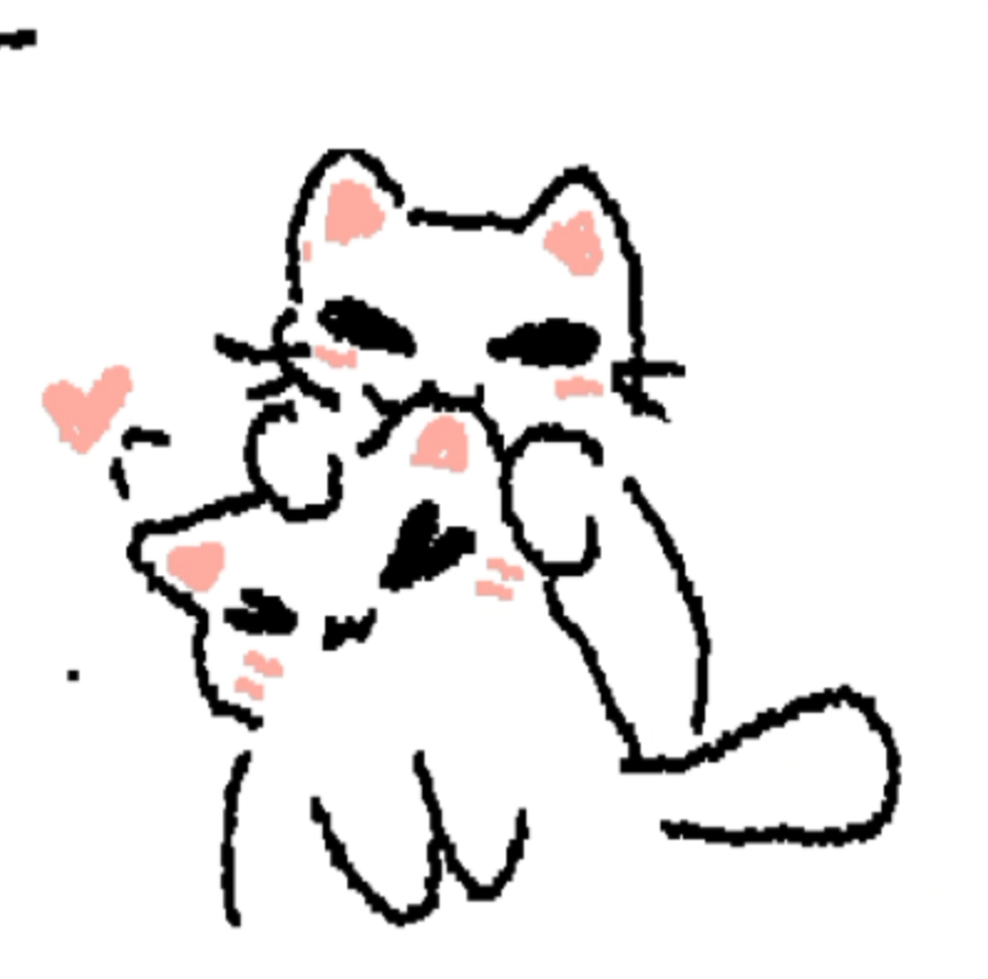 meowwwww🐾