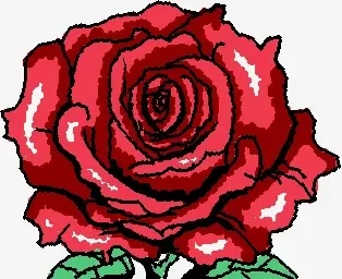 Una rosa