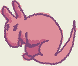 Kangaroo