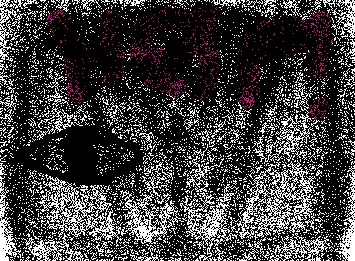 …
