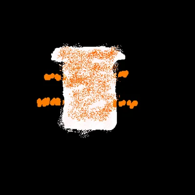 Toast