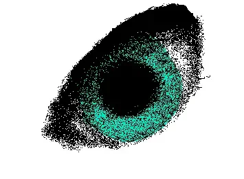 Eye