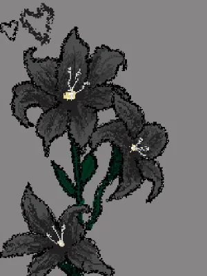 black flower