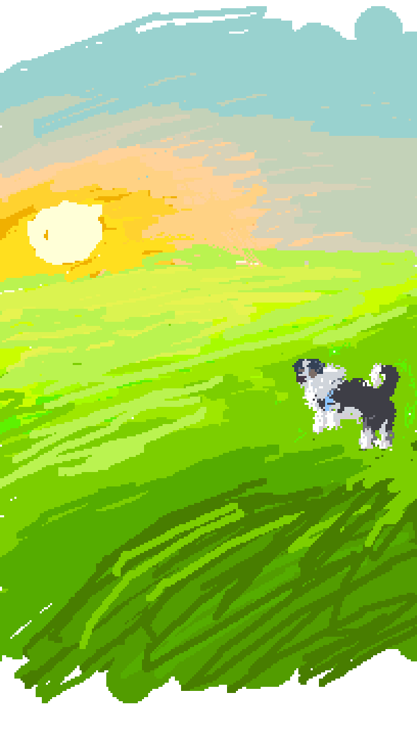 Sunset meadow
