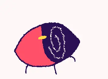 The eye