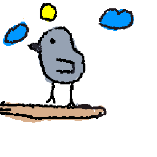 I draw a brid