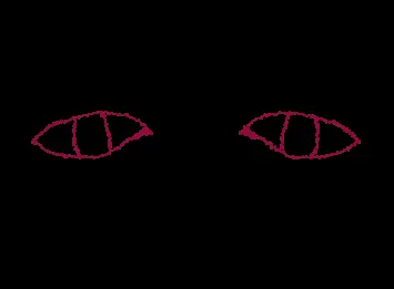 Eyes.